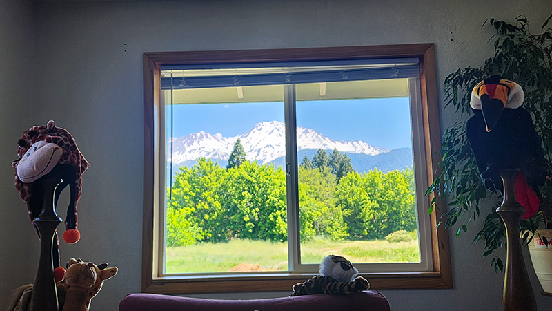 From my bed!